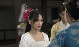 独孤皇后电视剧,权谋与爱情的宫廷传奇